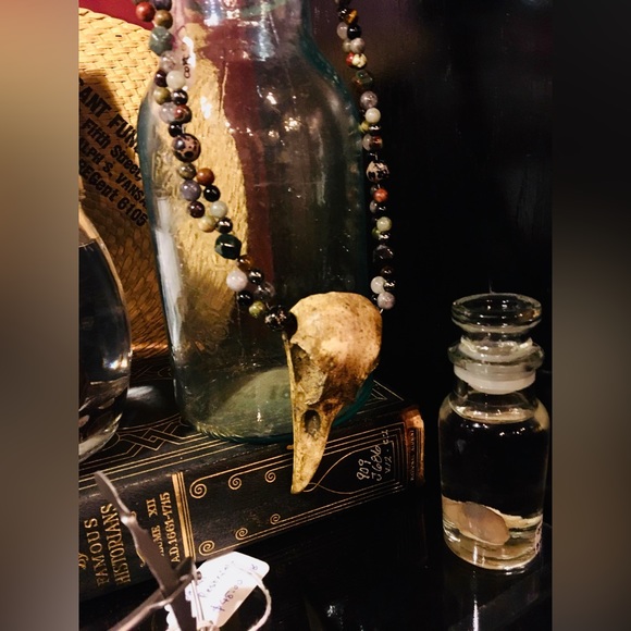 Meet your Posher, Lolly - Picture 4 of 16